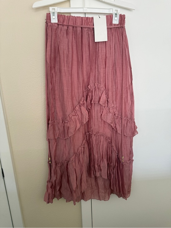 Zara Dresses & Skirts - Zara Midi Ruffle Skirt